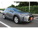 LEXUS UX250h