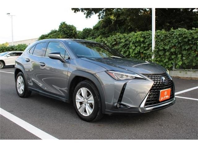 LEXUS UX250h