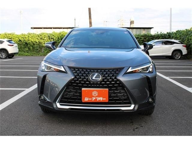 LEXUS UX250h