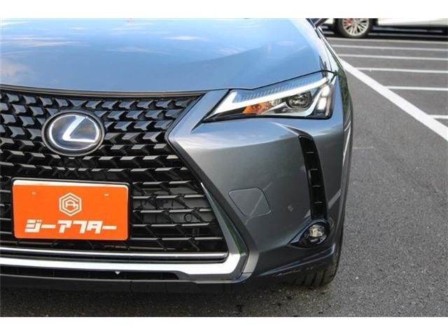 LEXUS UX250h