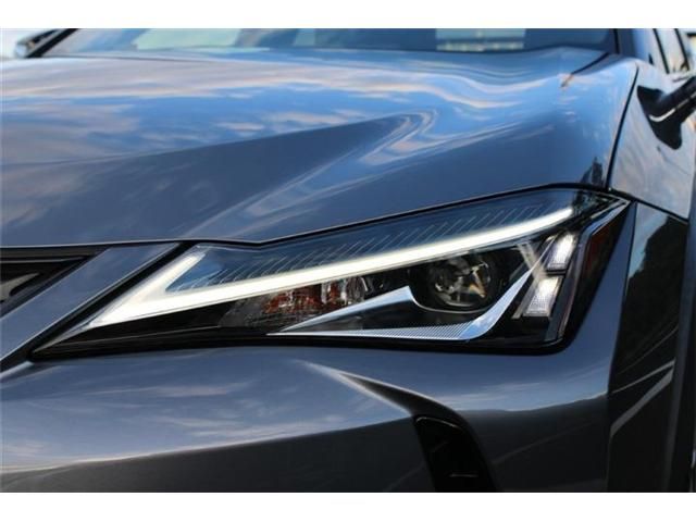 LEXUS UX250h
