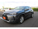 LEXUS UX250h