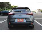 LEXUS UX250h
