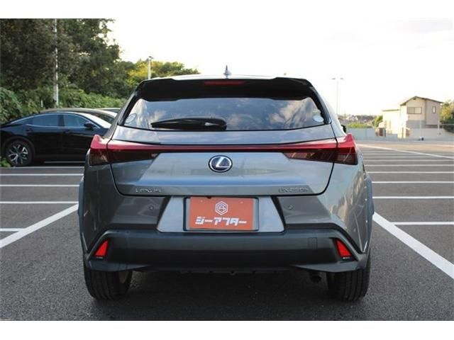 LEXUS UX250h