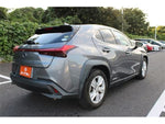 LEXUS UX250h