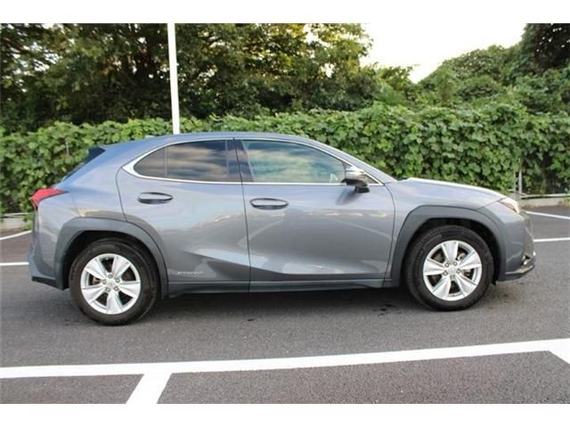 LEXUS UX250h