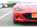 ROADSTER