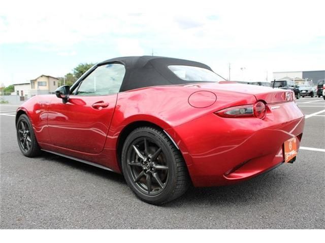 ROADSTER