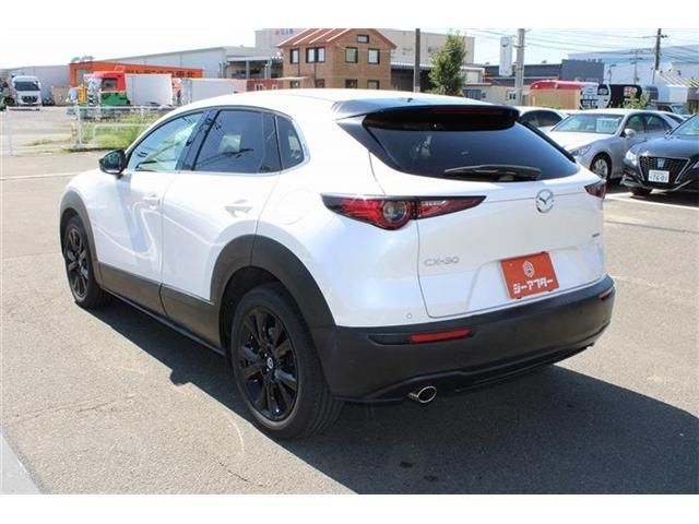 CX-30