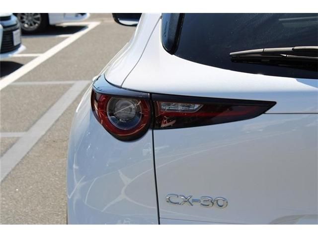 CX-30