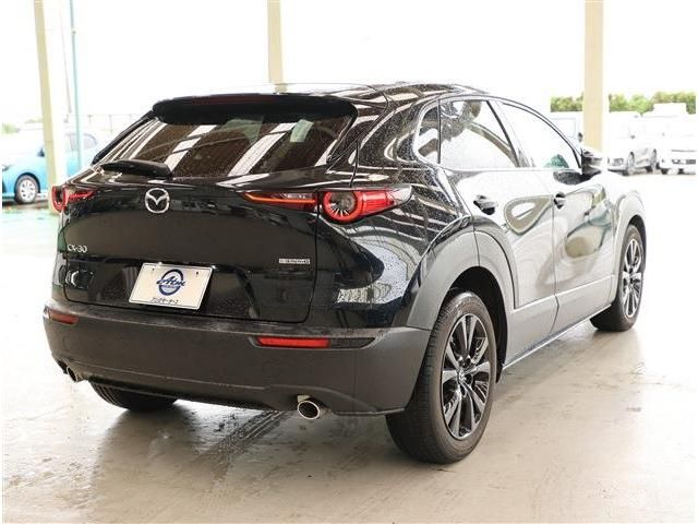 CX-30