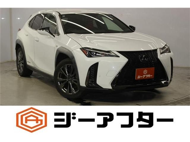 LEXUS UX250h