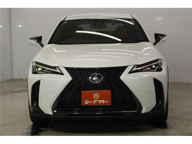 LEXUS UX250h