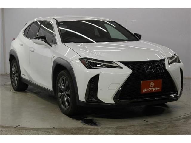 LEXUS UX250h