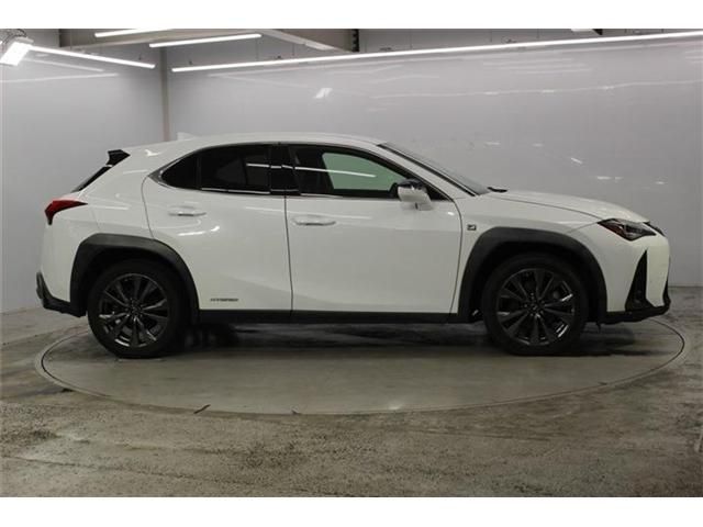 LEXUS UX250h