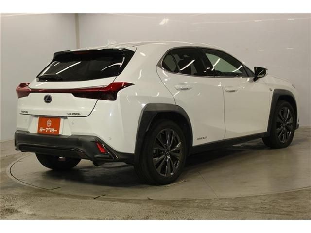 LEXUS UX250h