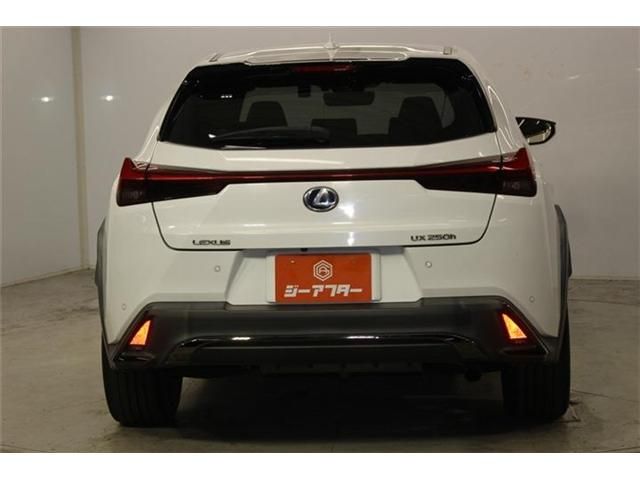 LEXUS UX250h