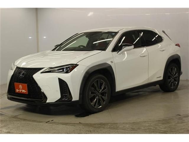 LEXUS UX250h