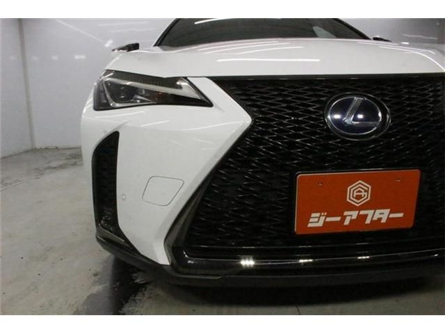 LEXUS UX250h