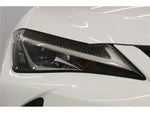 LEXUS UX250h