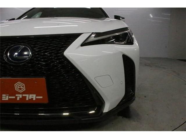 LEXUS UX250h