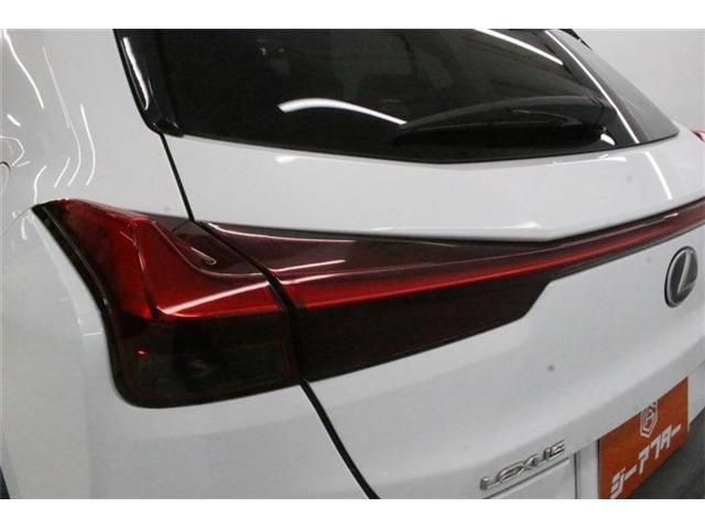 LEXUS UX250h