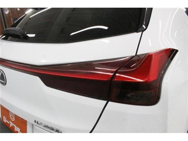 LEXUS UX250h