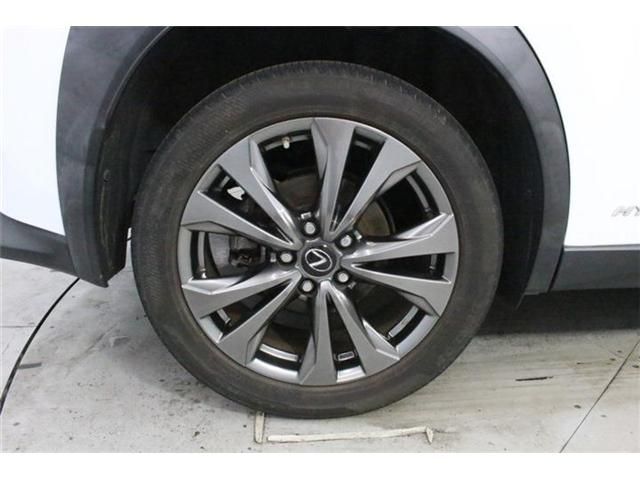 LEXUS UX250h