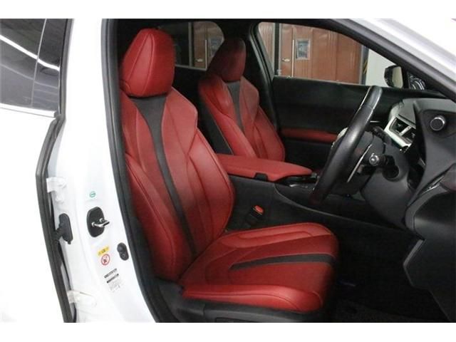 LEXUS UX250h