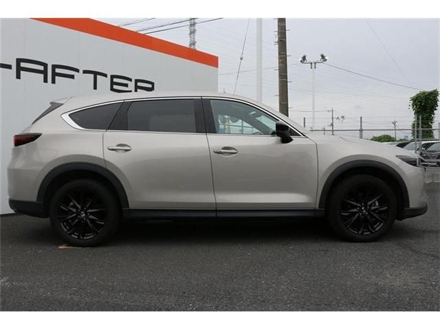 CX-8