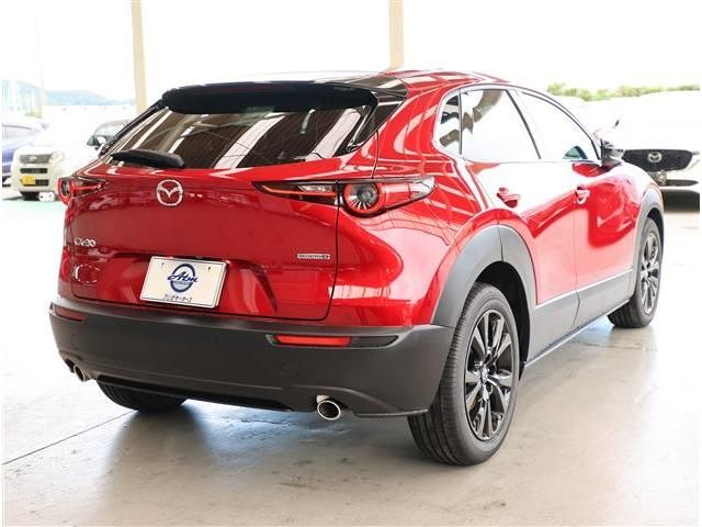 CX-30