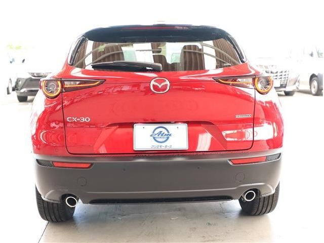 CX-30