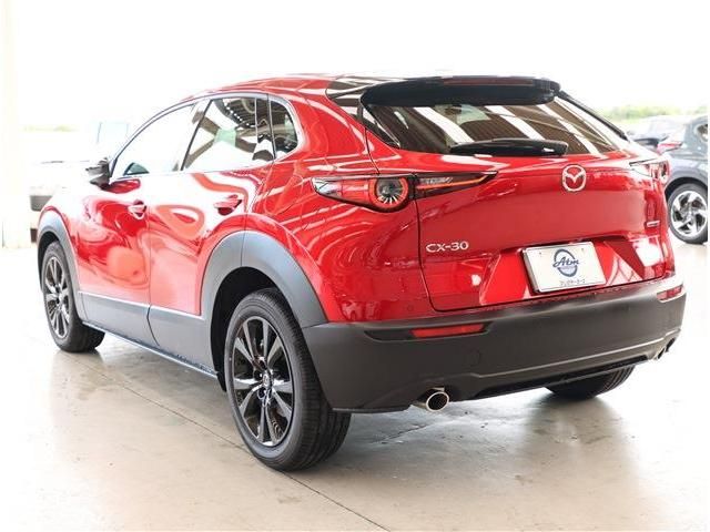 CX-30