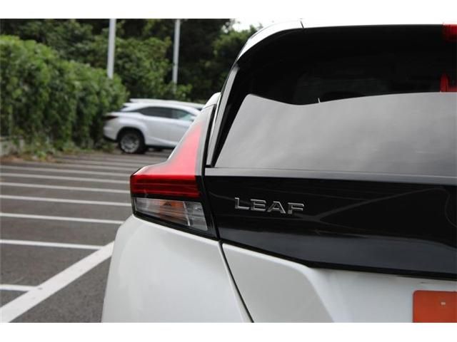 LEAF