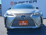 LEXUS UX250h