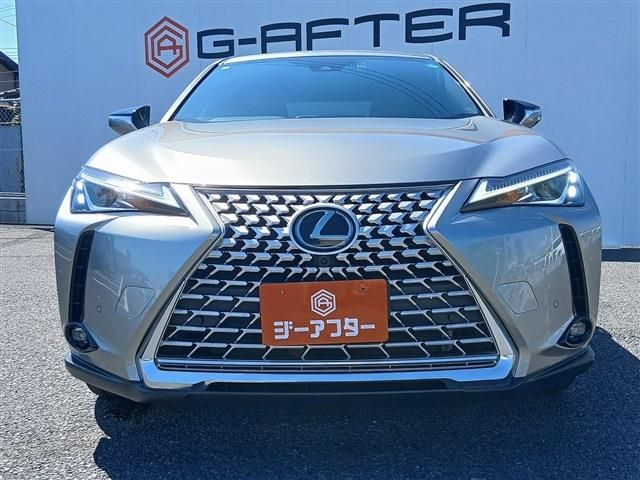 LEXUS UX250h