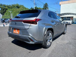 LEXUS UX250h