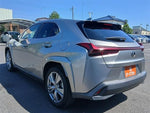 LEXUS UX250h