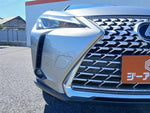 LEXUS UX250h