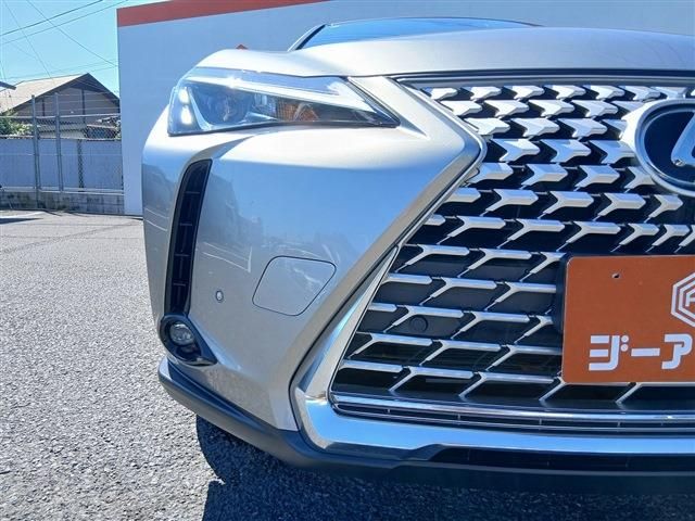 LEXUS UX250h