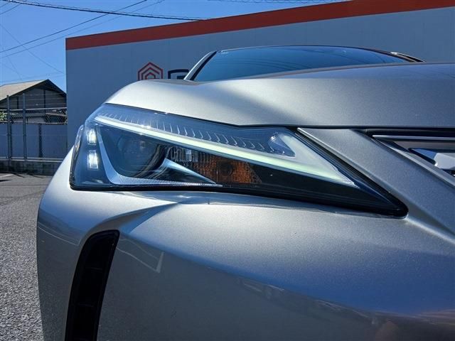LEXUS UX250h