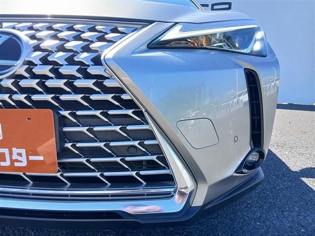LEXUS UX250h