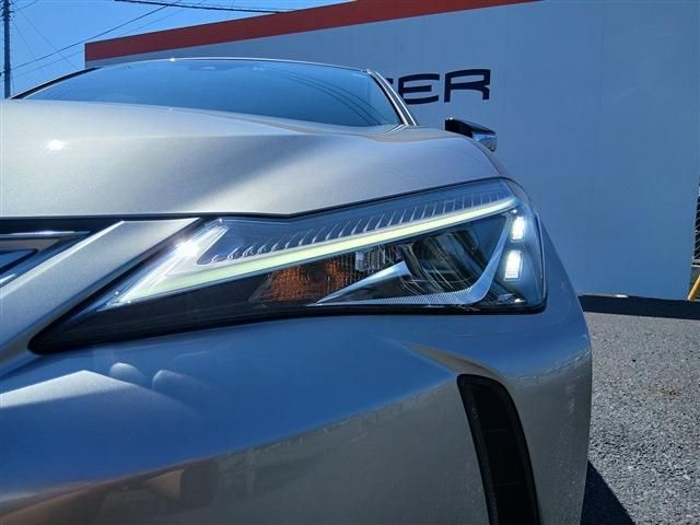 LEXUS UX250h