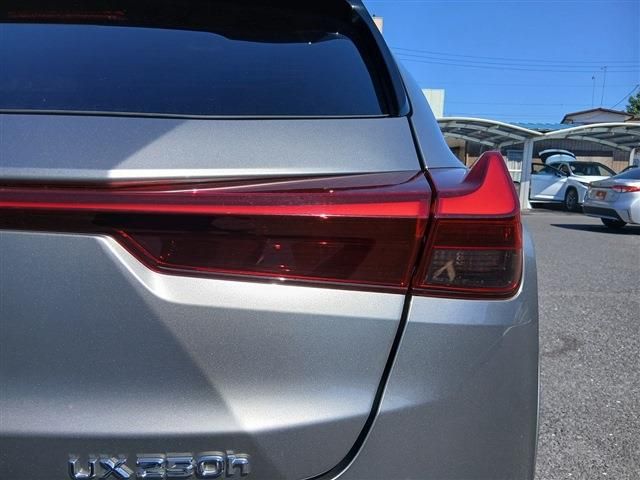 LEXUS UX250h