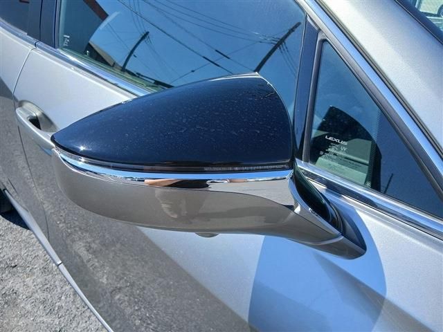 LEXUS UX250h