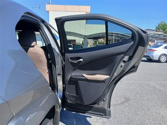 LEXUS UX250h