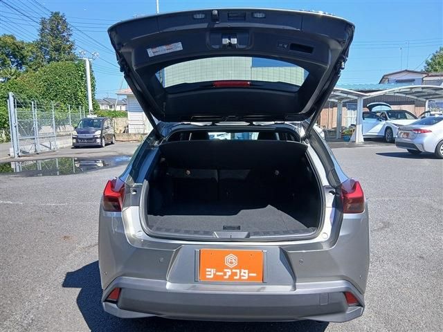 LEXUS UX250h