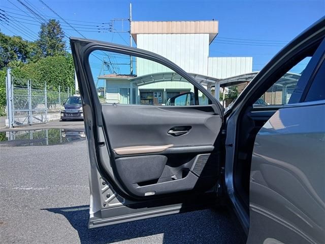 LEXUS UX250h