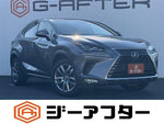 LEXUS NX300