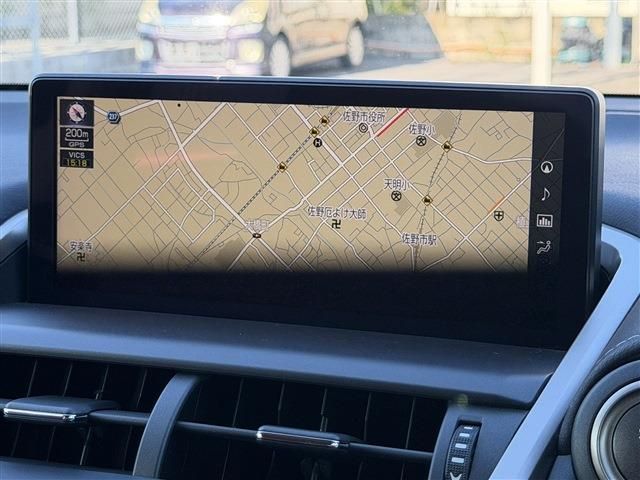 LEXUS NX300
